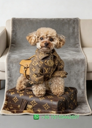 Louis Vuitton Throw Blankets